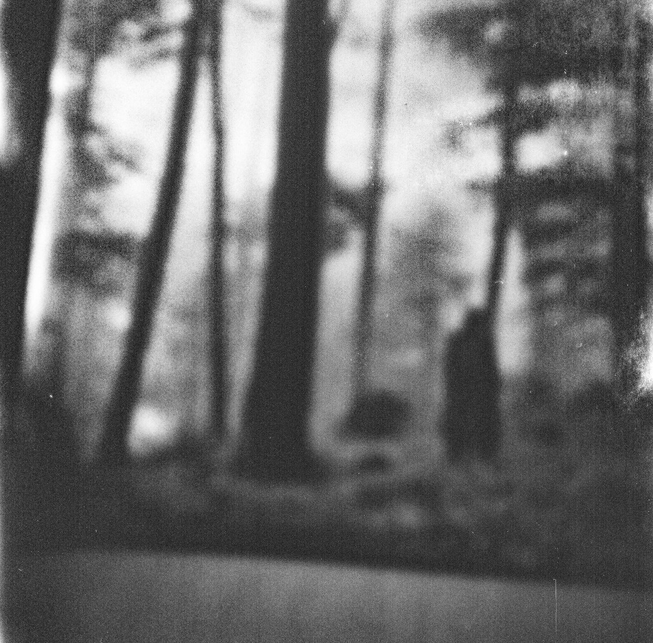 Ghostly procession at night in misty forest, spectral figures in white robes carrying candles, full moon above ancient trees, eerie supernatural atmosphere